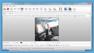 FileViewPro Cow Review