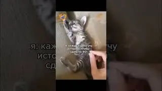 Будьте внимательны‼️ 