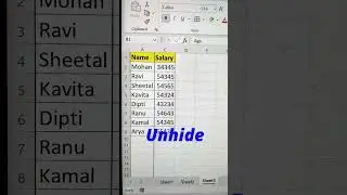Hide/Unhide Shortcuts In Excel 😎 | MS Excel Shortcut Keys 💯 