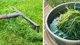 Save Your Grass Clippings – Here’s How to Use Them