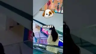 Если ты увидишь эту собаку, беги и звони в полицию 🏃‍♂️😱