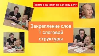 Закрепление слов 1 слоговой структуры. Пример занятия ( ребенку 2, 3 г)