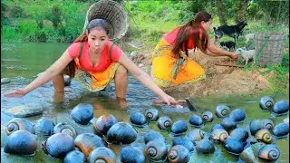 Women Find pick  Snail at river for food , cooking Snail for dog eating