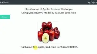 Classification of Apples Green  or Red Apple