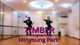 Timber - Pitbull ft. Ke$ha / Dance Cover By NEMESIS