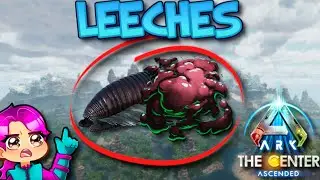 WHERE TO FIND LEECHES - THE CENTER - Ark Survival Ascended