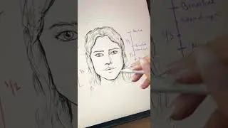 Basics of Face Proportions! 