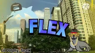 FLEX - Lil’ DOLPHY and SealK (INSTRUMENTAL)