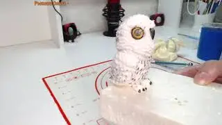 Сова из фильма Гарри Поттер_Owl from Harry Potter_Coruja de Harry Potter