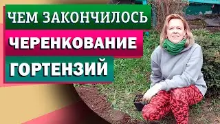 Волонтерство - не порок. Путешествие!