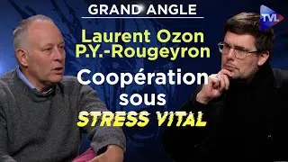 Coopération sous stress vital - Le Grand Angle - Pierre-Yves Rougeyron et Laurent Ozon - TVL