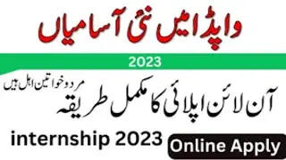 WAPDA Internship 2023| Lesco jobs advertisement 2023 Online Apply