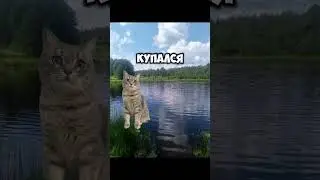 #ого