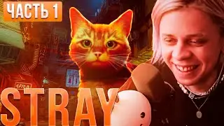 Пандекс Проходит STRAY (часть 1)