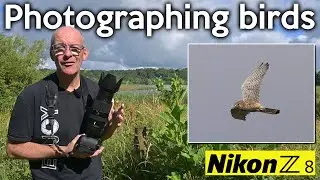 Photographing birds with my Nikon Z8 at Brockholes Nature Reserve