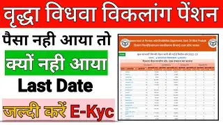 वृद्धा पेंशन पैसा क्यों नही आया | जल्दी करें E-Kyc | vridha pension kyc Last date 31 December 2022