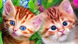 Cute ginger kittens on a flowery forest meadow