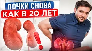 Лучший Способ Вылечить Свои Почки! Про эти проблемы нельзя молчать!