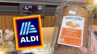 Rolling with YOUR suggestions!  Weekly ALDI Grocery Haul 2024