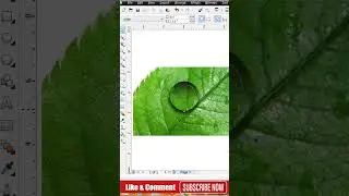 Water Drop Effects In Coreldraw! | Coreldraw Tutorial 2024 | Coreldraw Short | Youtube 