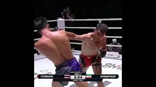 Fariyar Aminipour vs Ferrari Fairtex @ #ONELumpinee14 Highlights