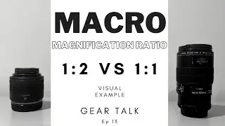 Macro Magnification Ratio 1:1 and 1:2 Visual Example (Canon EF 100mm f2.8L vs RF 35mm f1.8)