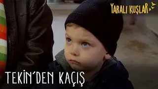 Çocuklar, Ömer'i Tekin'den kurtardı ! | Yaralı Kuşlar