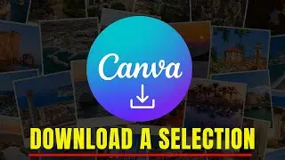 How to Download A Selection in Canva