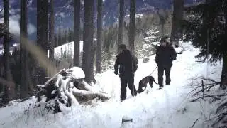 Костюмы Carinthia (Австрия)