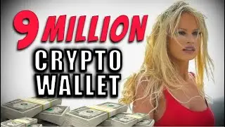 This 9 Million Dollar Crypto Whale Wallet is Holding Coins I've NEVER Heard of Before!