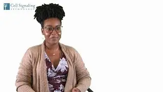 Moving Science Forward with CST Customer Support
