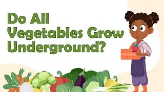 Do All Vegetables Grow Underground? | Food Facts For Kids | Vegetable Facts | Healthy Eating