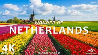 Netherlands in 4K: The Most Serene and Relaxing Music - 4K VIDEO UHD