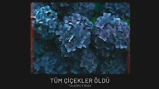 Taladro & Rash - Tüm Çiçekler Öldü (Official Video)