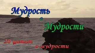 Мудрость о Мудрости. 20 цитат великих и известных о мудрости.