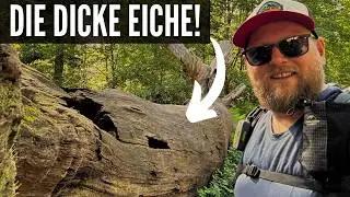 Das ENDE naht! Doch erst müssen wir zur DICKEN EICHE !!!