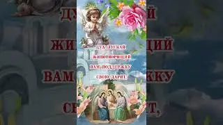 С Днём Святого Духа! 🕊 24 июня - Духов день! 🌺 Красивое поздравление, открытка #shorts