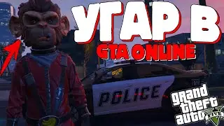 ZMEY, KUKA, GAMER ➤ ЖЕСТКИЙ УГАР В GTA 5 ONLINE! / ЖИВОТНЫЕ НА СЕРВЕРЕ!