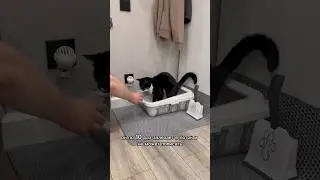 У БАРИКА СЕРЬЕЗНЫЕ ПРОБЛЕМЫ