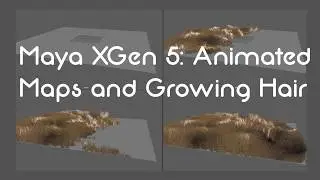 Maya Xgen 5: Animated Maps and Growing Hair