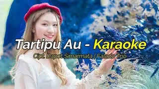 Tartipu Au - Karaoke | Cipt. Dapot Simarmata | Falado Trio