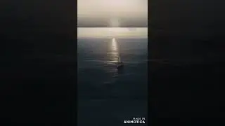 Поиск истины.