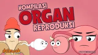 Kompilasi Organ Reproduksi - Animasi Organ Tubuh