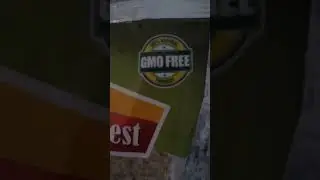 #GMO Kenya