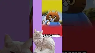 Домик у Мурсдей 🐱🏡 #симбочка #mursday #minecraft #simbochka #майнкрафт #мурсдей #simba #симба #мульт