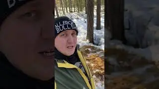 ЧАРЛИ БОЛЬШЕ НЕТ😭😭😭