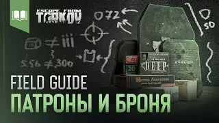 Field Guide #3: Патроны и Броня