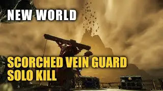 Scorchvein Supply Guard Solo Kill - New World PVE (Ambusti Superiror, Shattered Mountain)