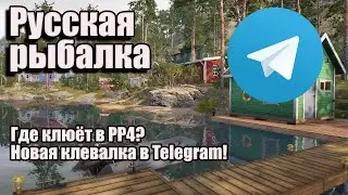 Где клюёт в РР4? Новая клевалка в Telegram! Русская рыбалка 4