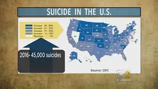 CDC: Suicide Rates On The Rise In Almost Every U.S. State
